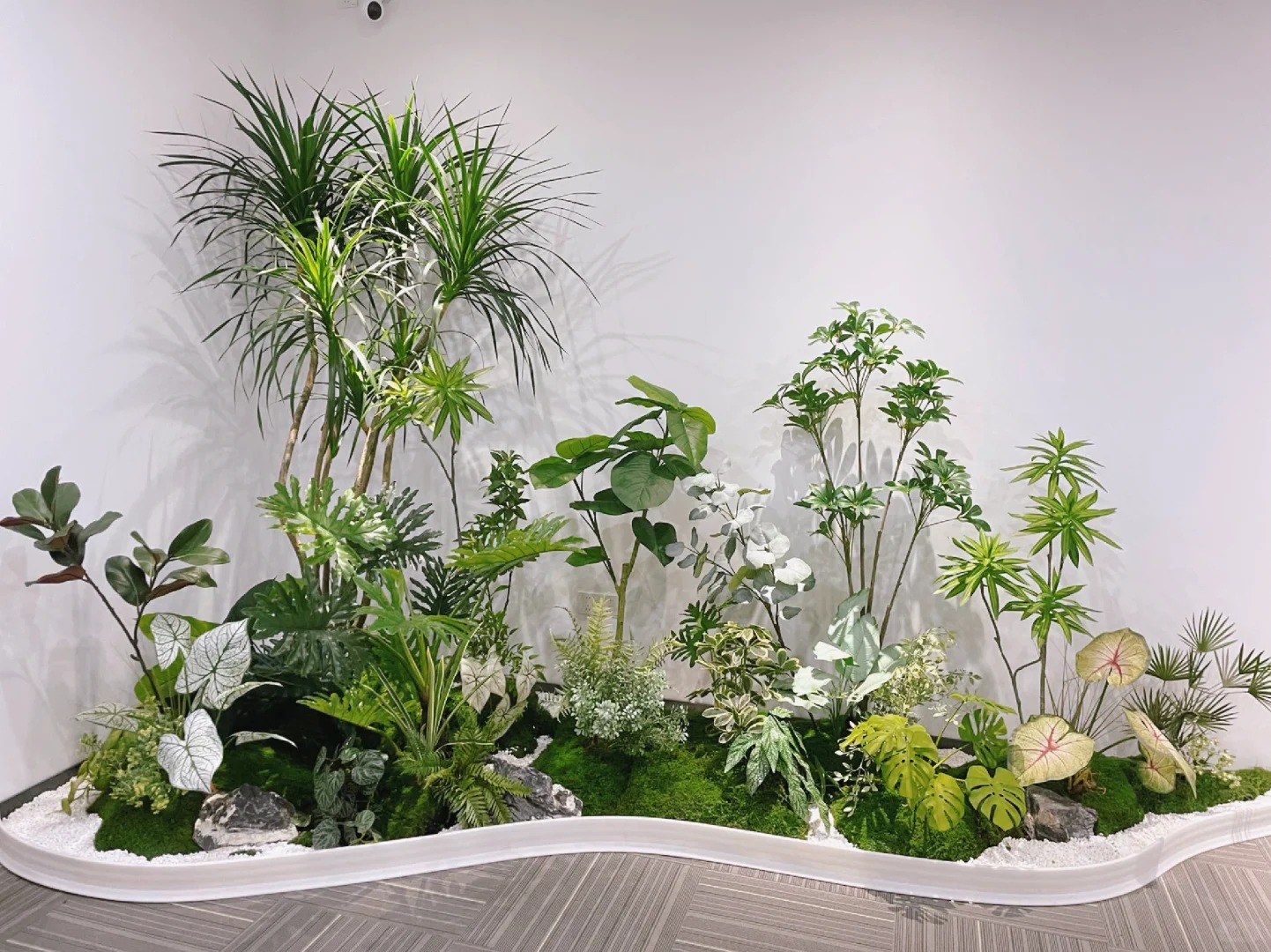 了解余姚花卉出租价格,开启省钱之道!